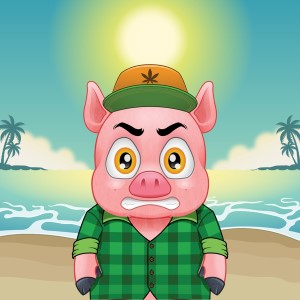 pigs: 5181