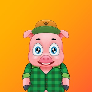 pigs: 2366