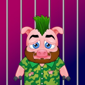 pigs: 12