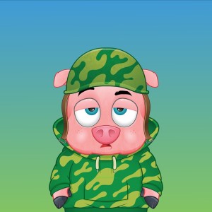 pigs: 2584